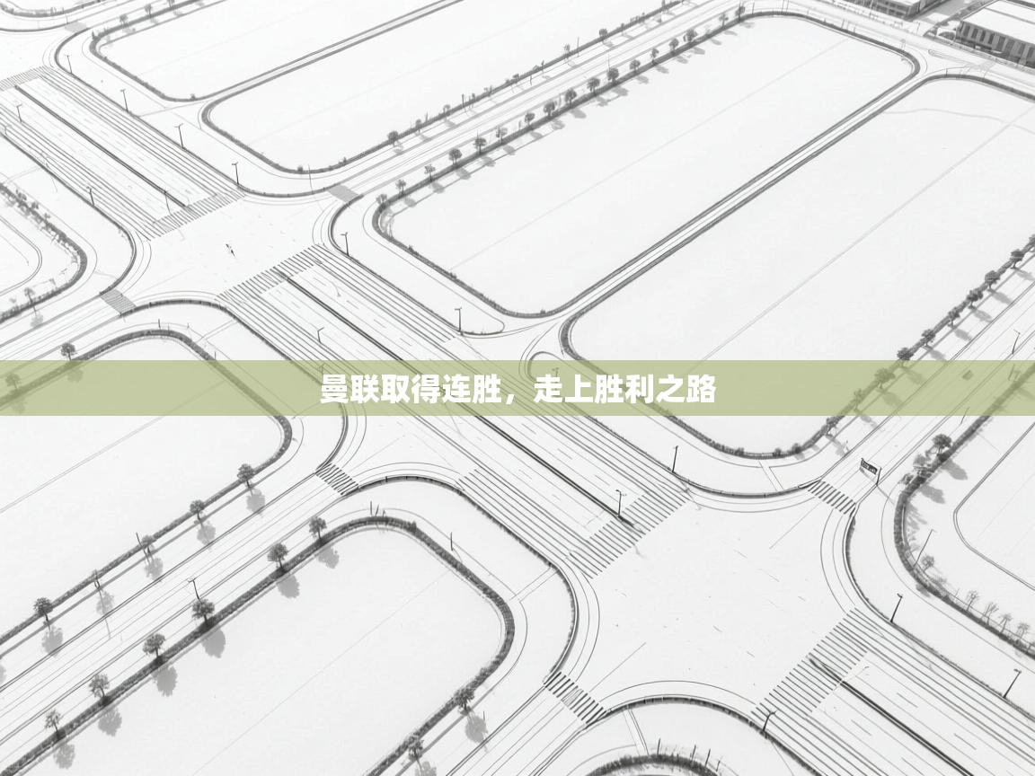 曼联取得连胜，走上胜利之路  第2张