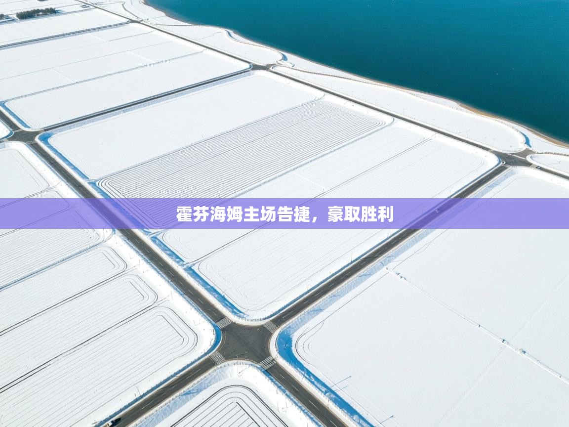 霍芬海姆主场告捷，豪取胜利