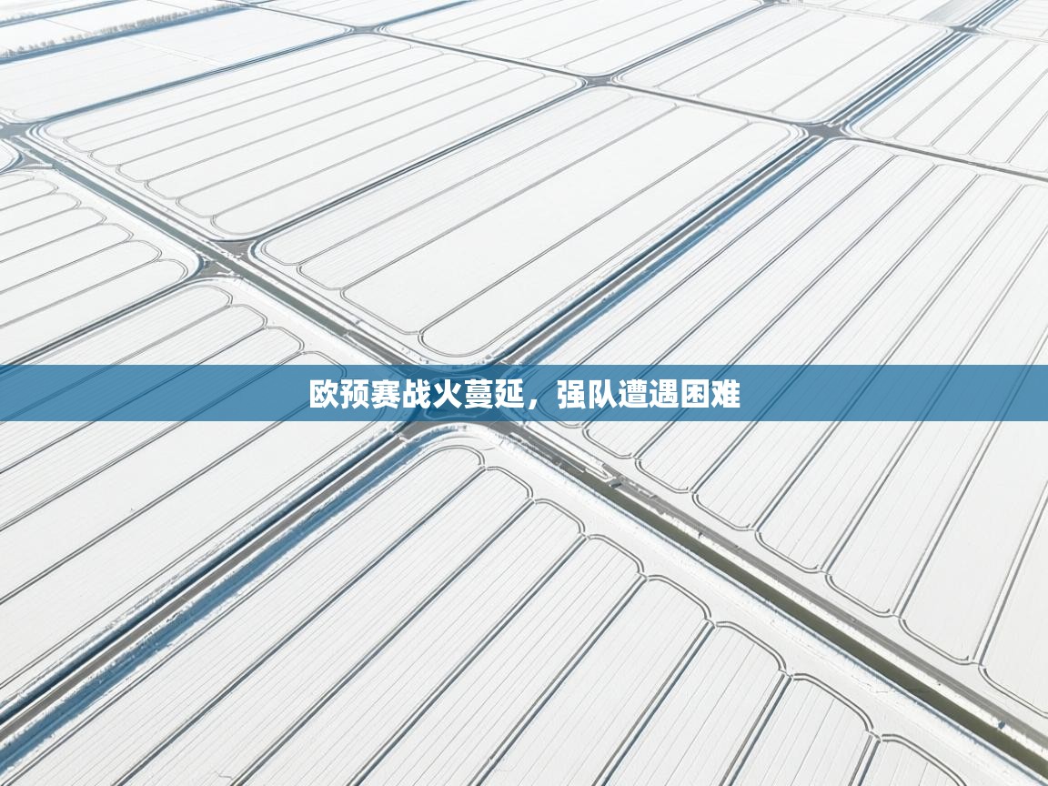欧预赛战火蔓延，强队遭遇困难  第1张