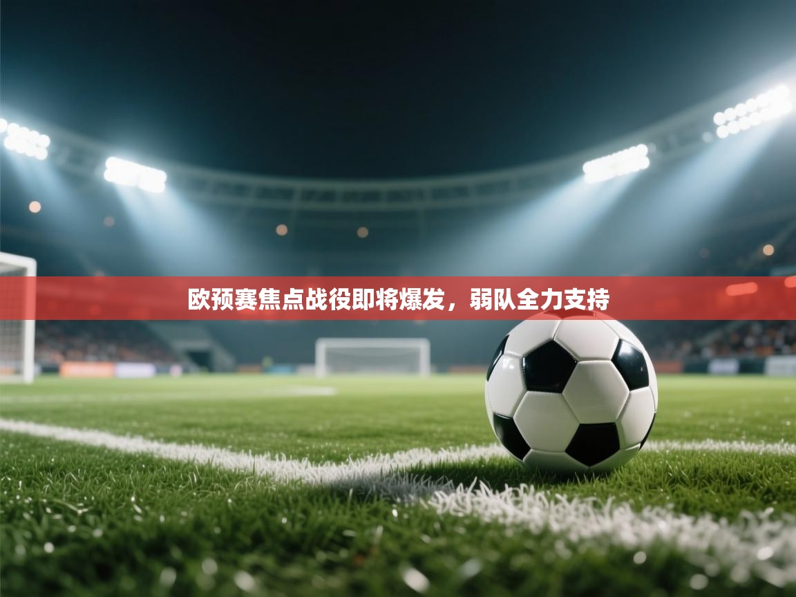 欧预赛焦点战役即将爆发，弱队全力支持  第2张