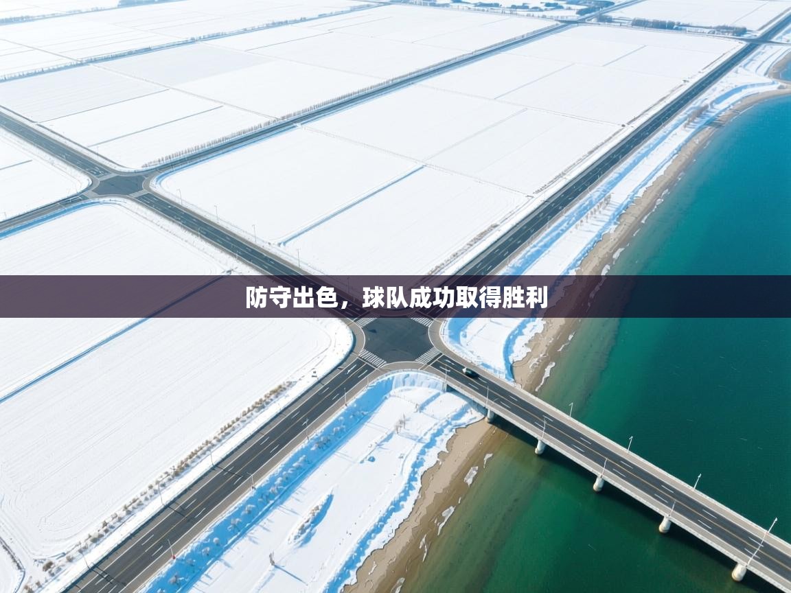 防守出色，球队成功取得胜利