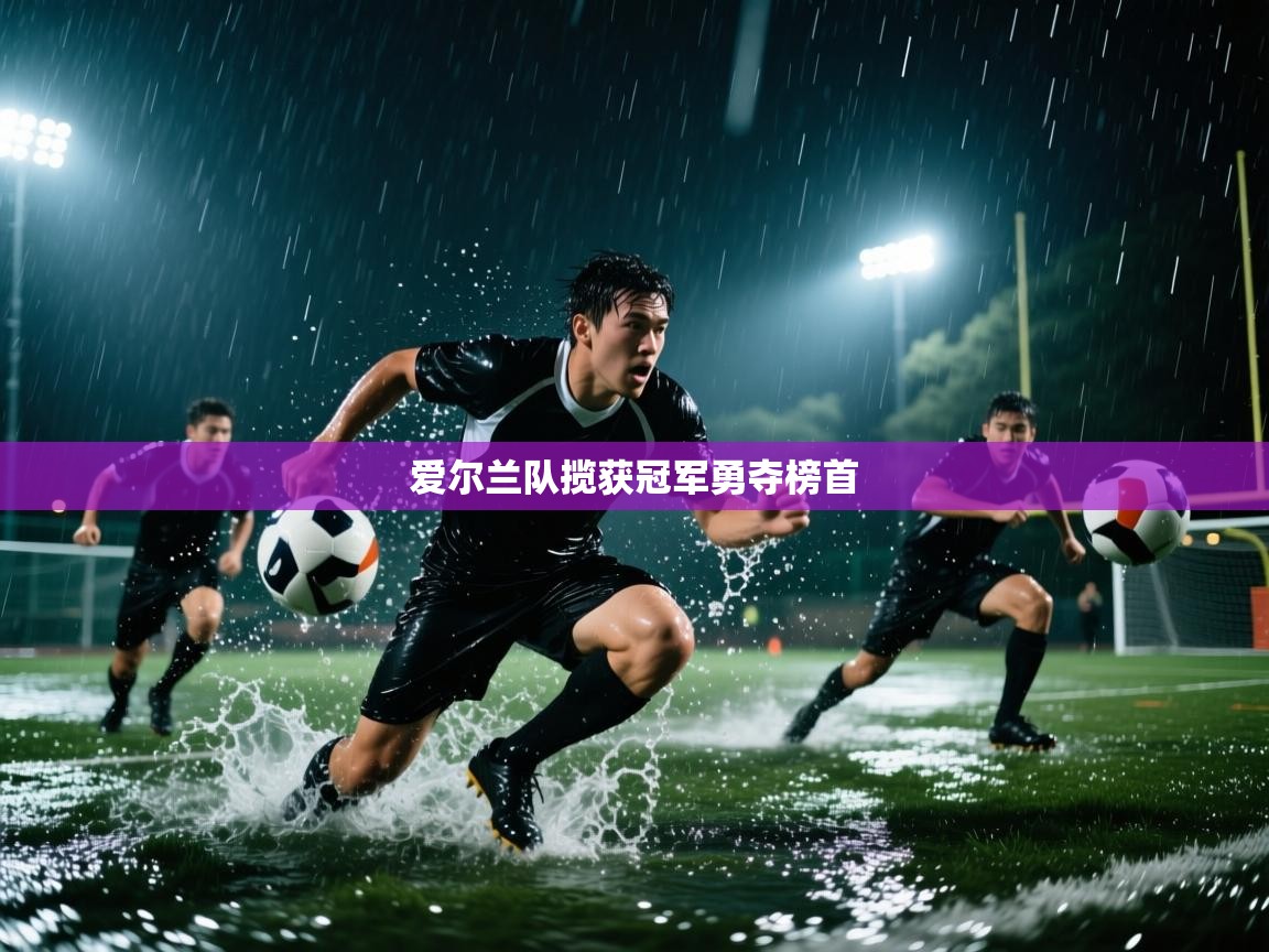 爱尔兰队揽获冠军勇夺榜首  第1张