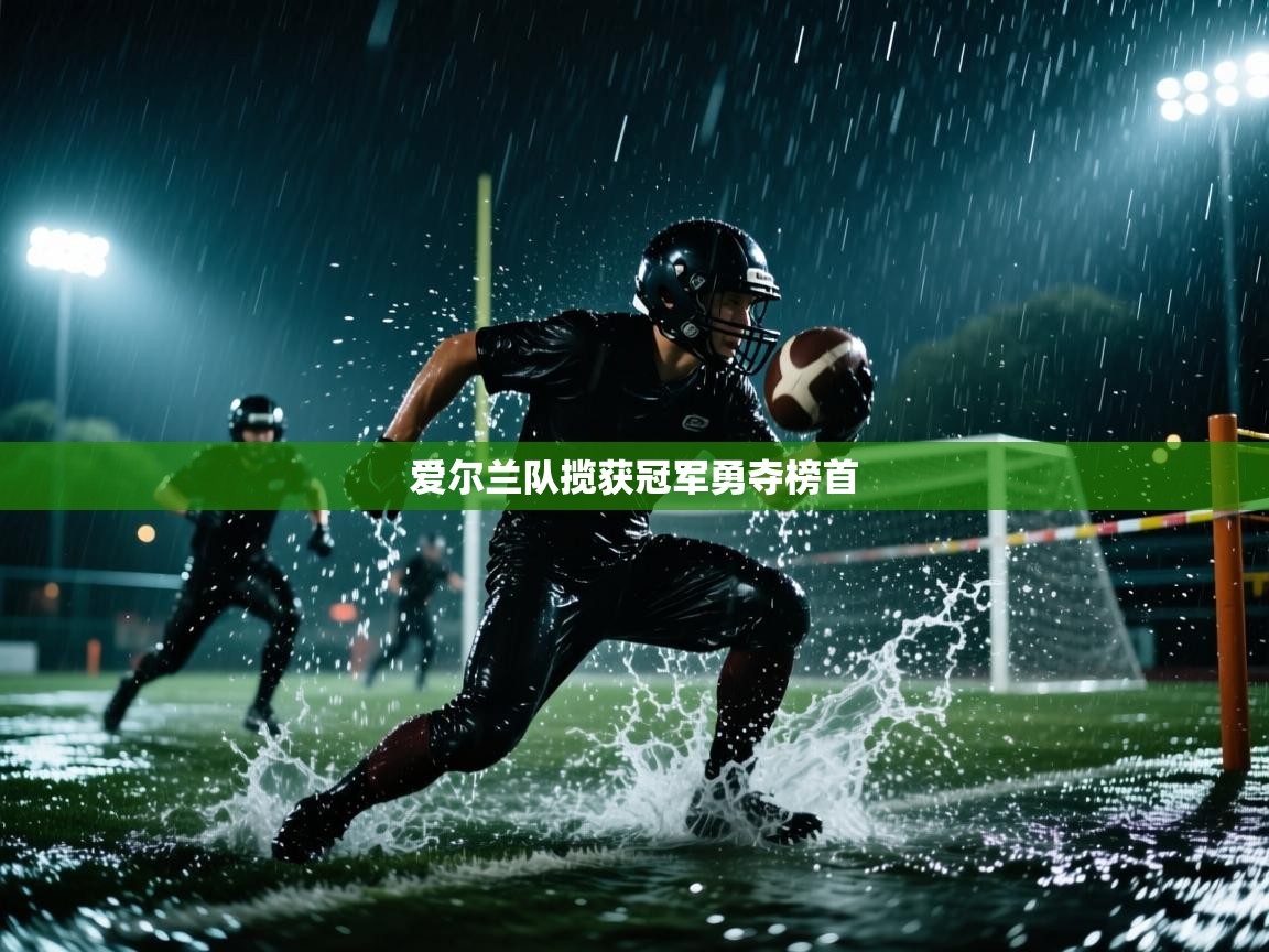 爱尔兰队揽获冠军勇夺榜首  第2张