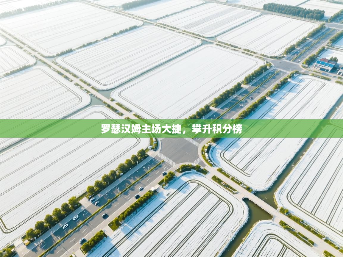 罗瑟汉姆主场大捷,攀升积分榜 第1张